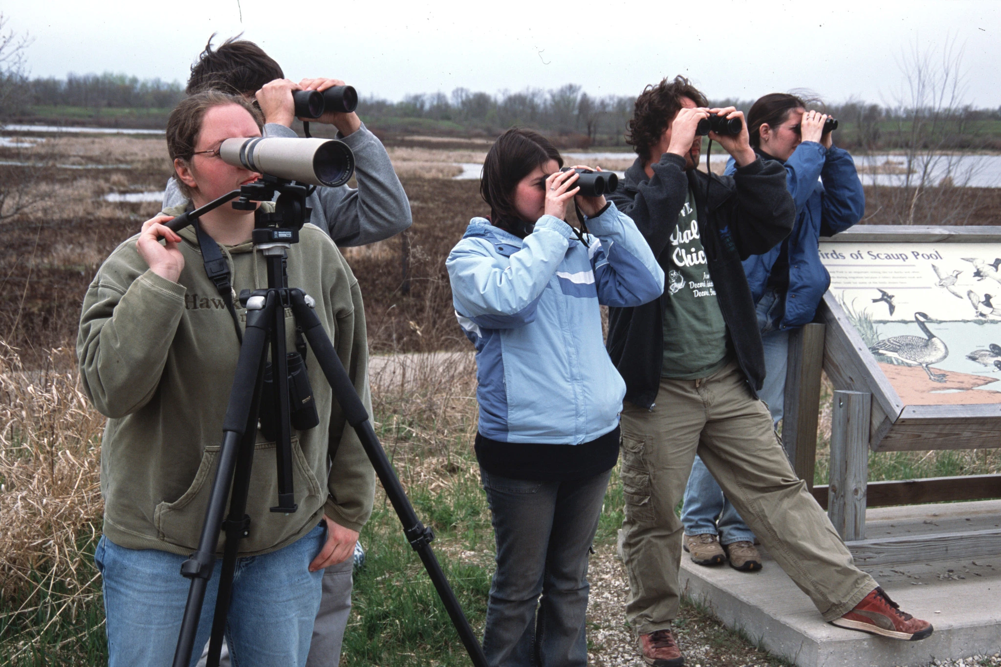 People looking through binoculars and scopes at Horicon Marsh